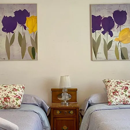 El Jardin De La Morena - Casco Historico - Vut Le 1205 León