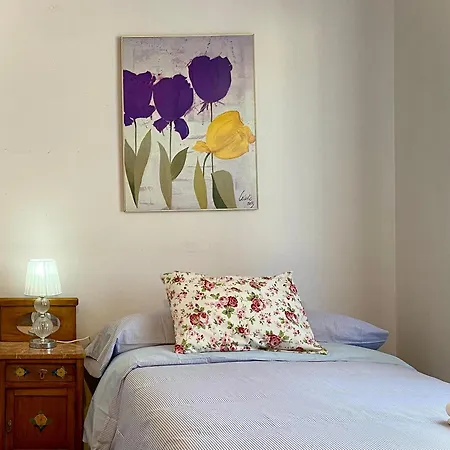 El Jardin De La Morena - Casco Historico - Vut Le 1205