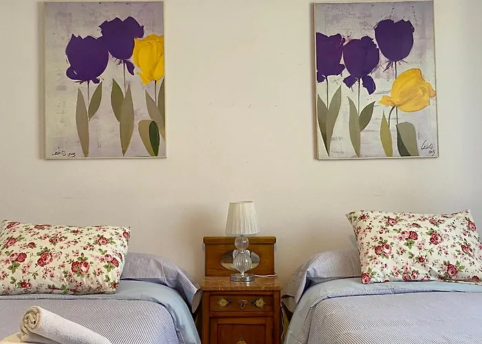 El Jardin De La Morena - Casco Historico - Vut Le 1205 León